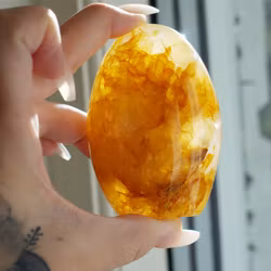 Golden Healer Fri Form 190 Gram