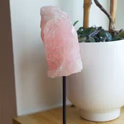 Rå Rosenkvarts På Ställning