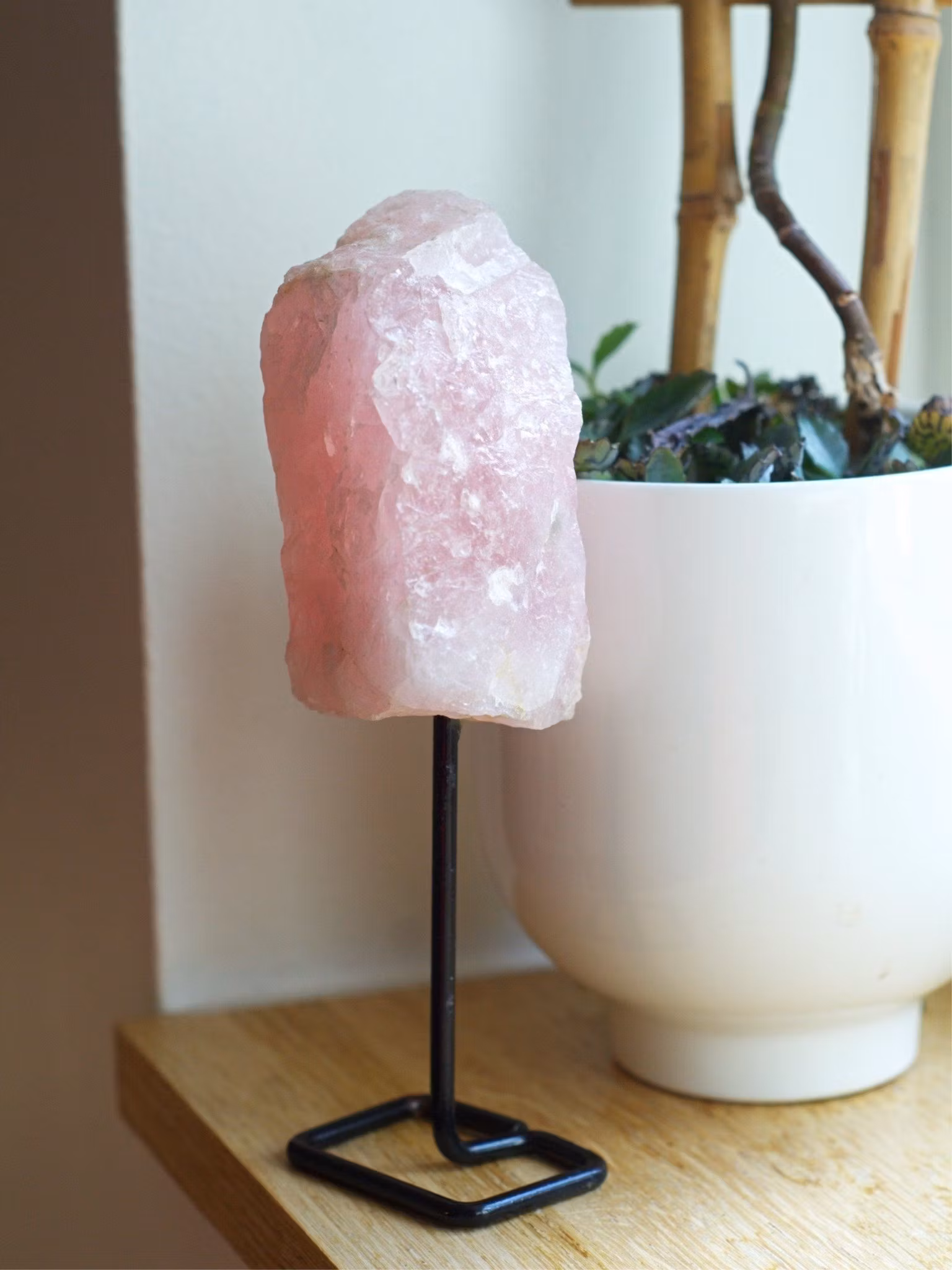 Rå Rosenkvarts På Ställning