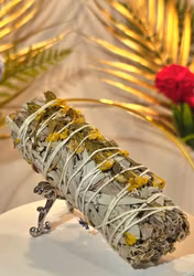 Vit Salvia Med Tusensköna