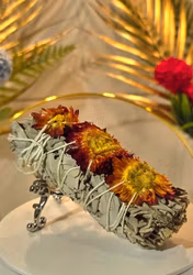 Vit Salvia Med Blommor