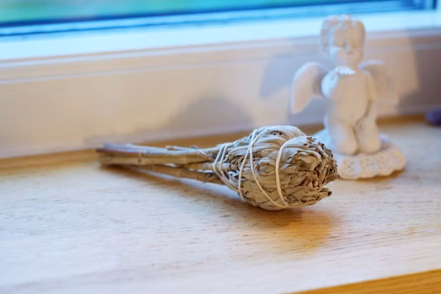 Vit Salvia Bunt Rosformad Fackla