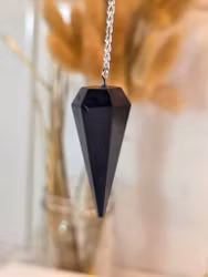 Polerad Pendel Shungit nr 1