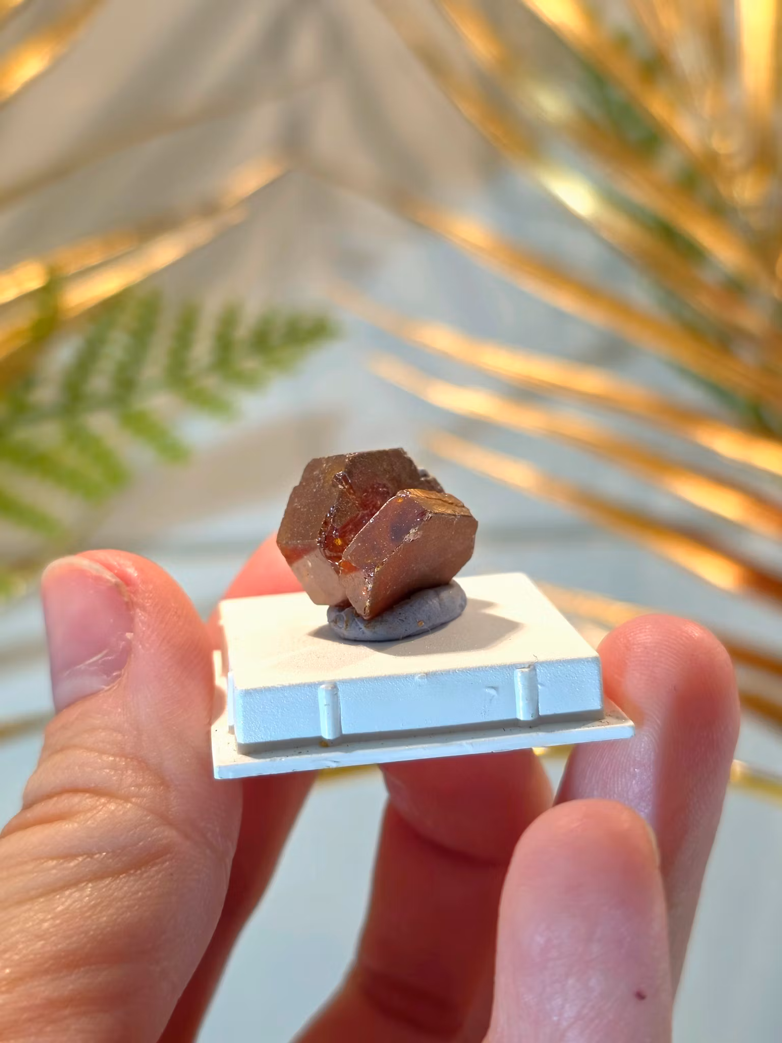 Rå Vanadinit På Display Tumbnail