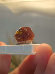 Rå Vanadinit På Display Tumbnail