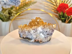 Kluster Av Citrin 113 gr