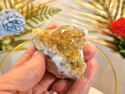 Kluster Av Citrin 113 gr