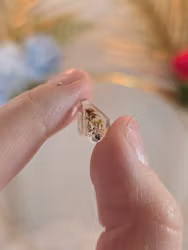 Golden Enhydro‑kvarts nr 2