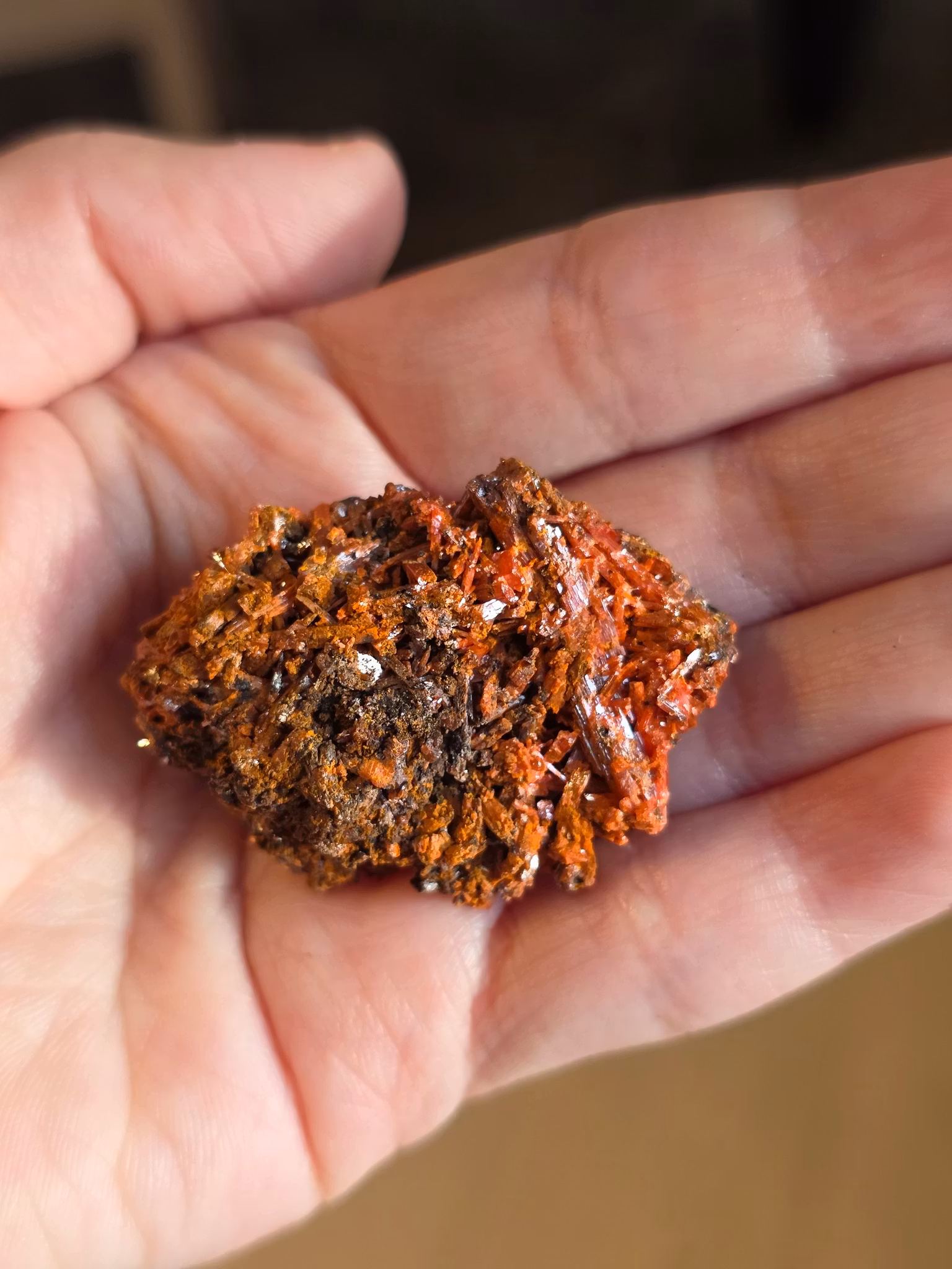 Krokoit Från Red Lead Gruvan nr 2