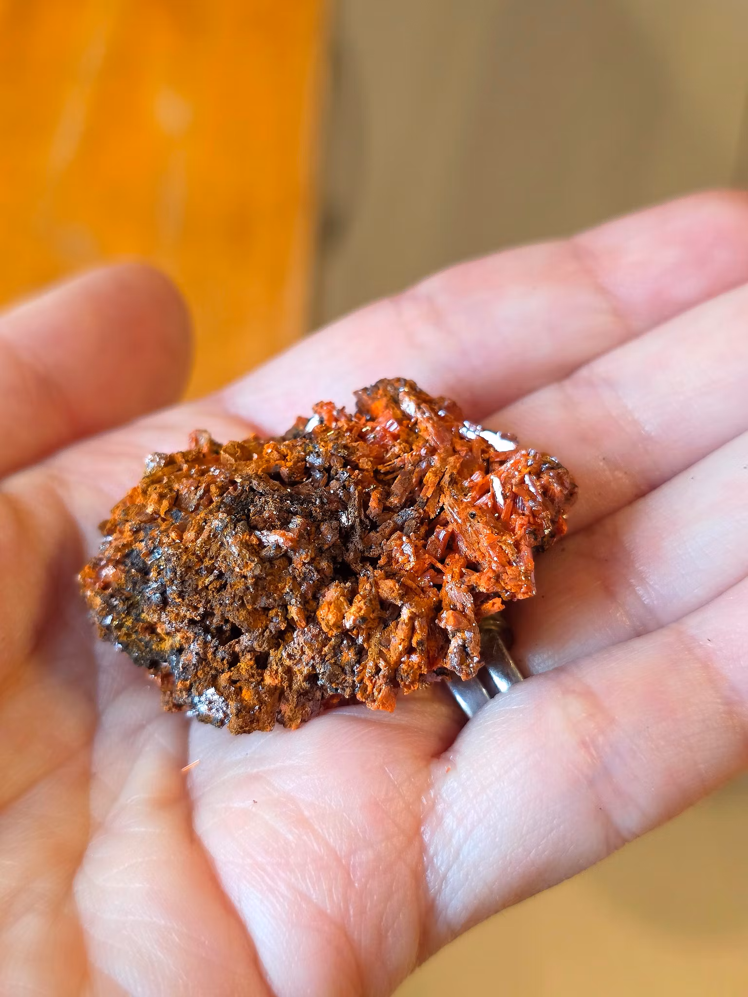 Krokoit Från Red Lead Gruvan nr 2