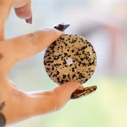 Dalmatinerjaspis Donut