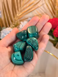 Malakit Trumlad, 3-5 cm