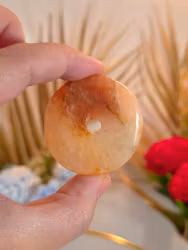 Golden Healers Donut M