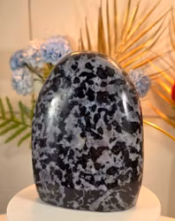 Mystic Merlinite, Indigo Gabbro Fri Form 1387 gr