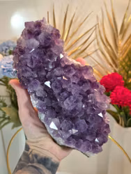 Kluster Av Ametist 1096 Gram