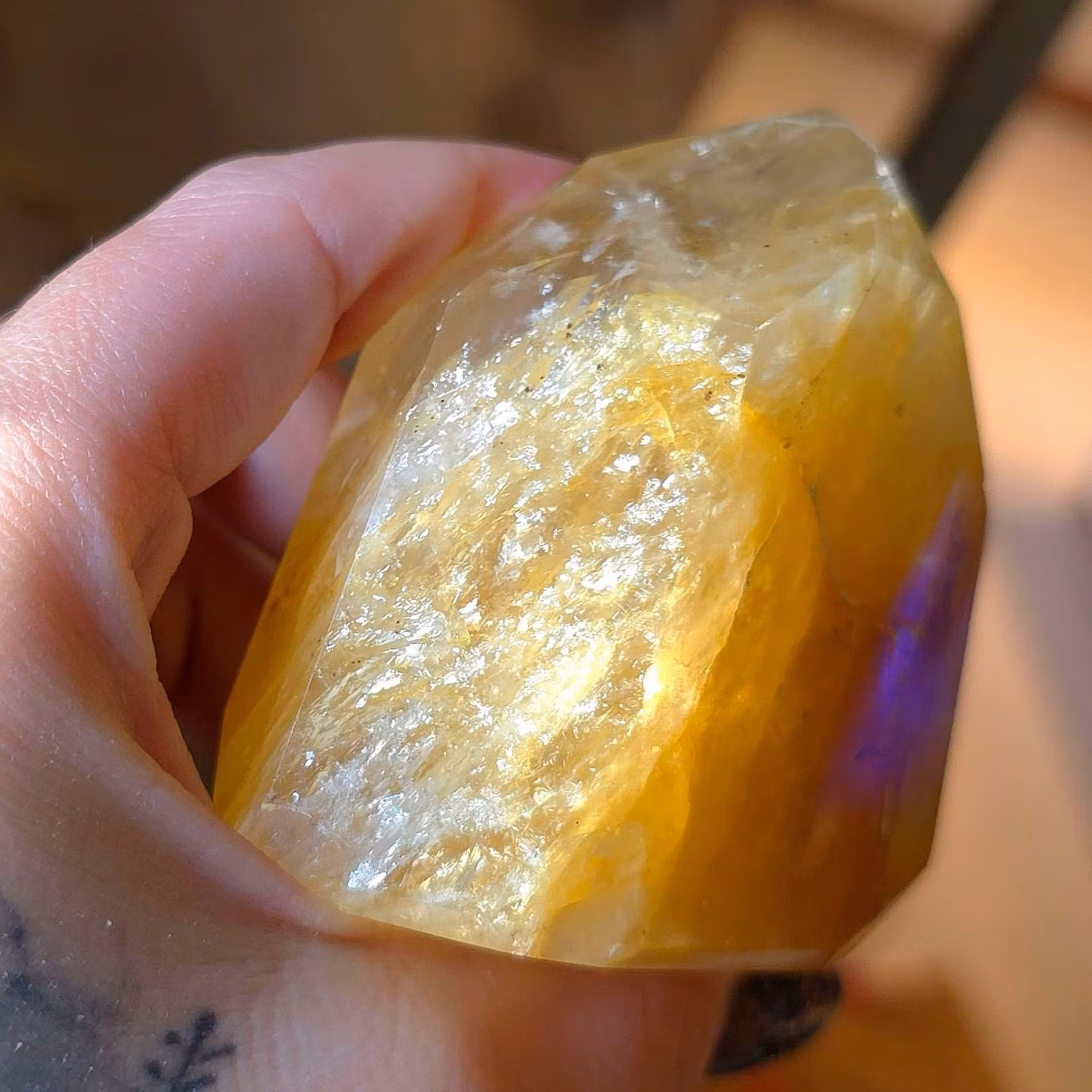 En fin Golden Healer spets med regnbågar