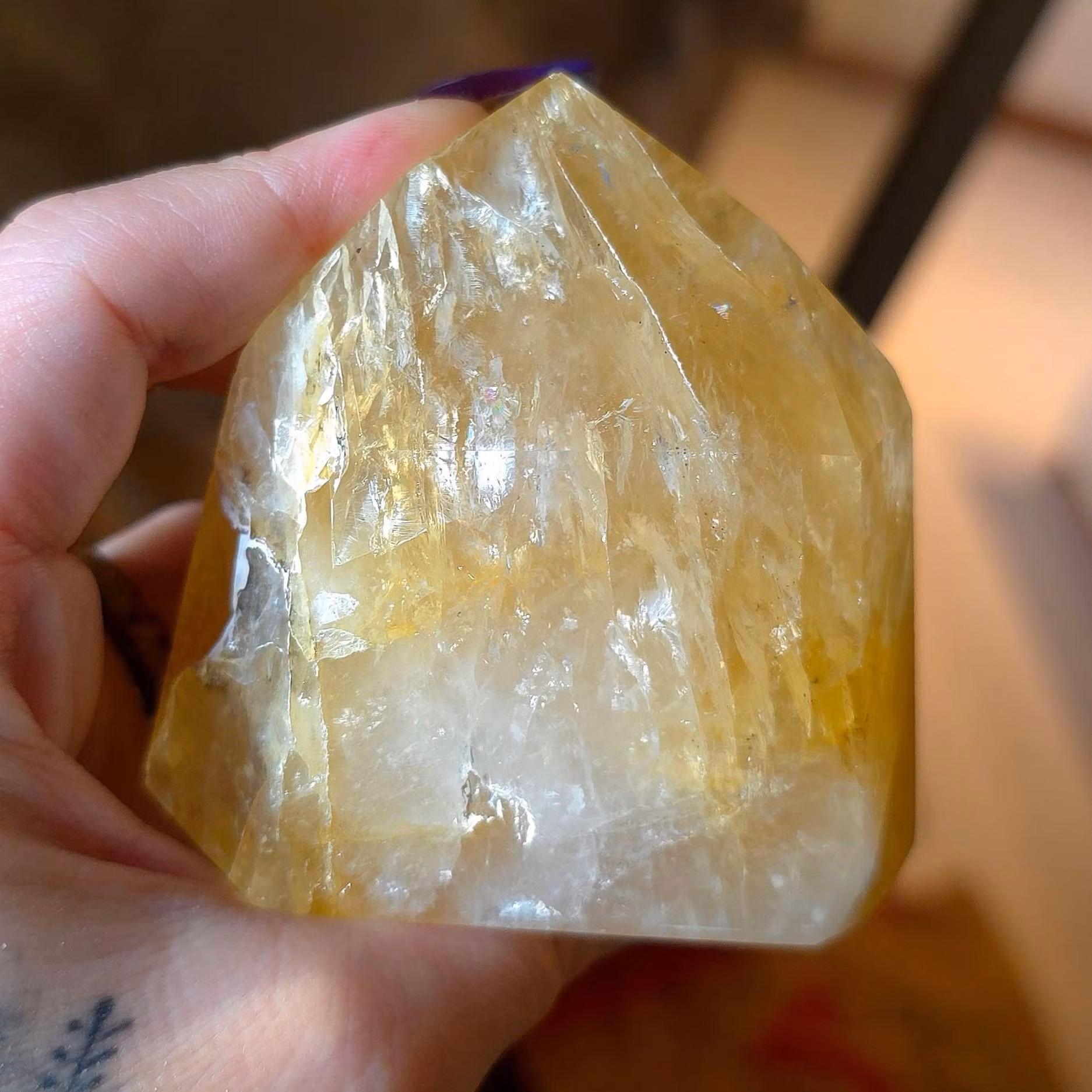 En fin Golden Healer torn med många regnbågar