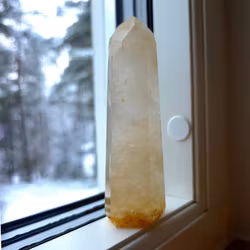 Golden Healer Spets, 205 gram