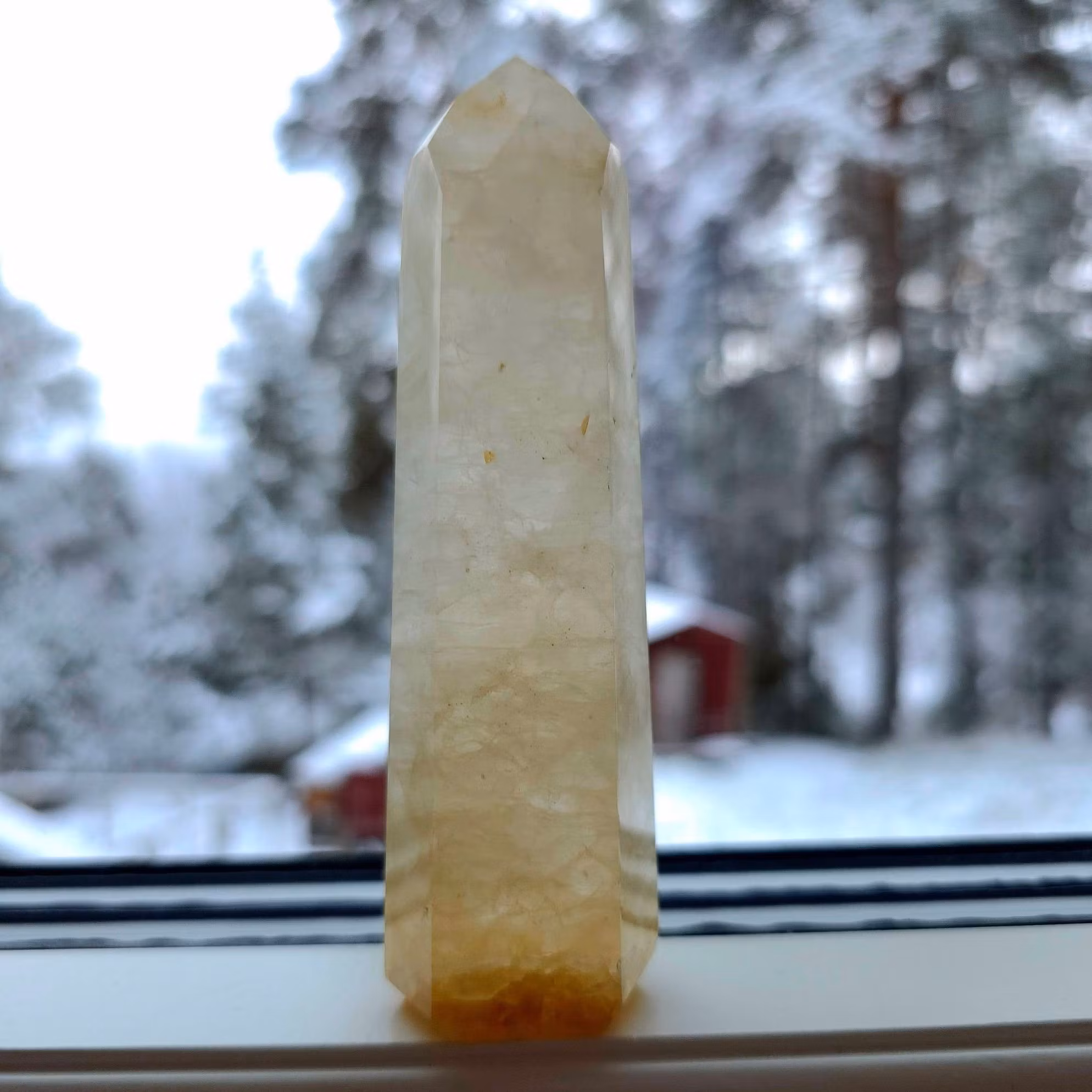 En ljus fin Golden Healer spets med guldig botten