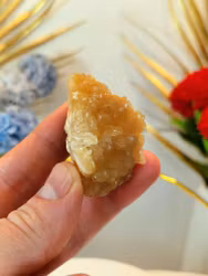 Orange Stilbit Från Maharashtra