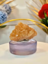 Orange Stilbit Från Maharashtra