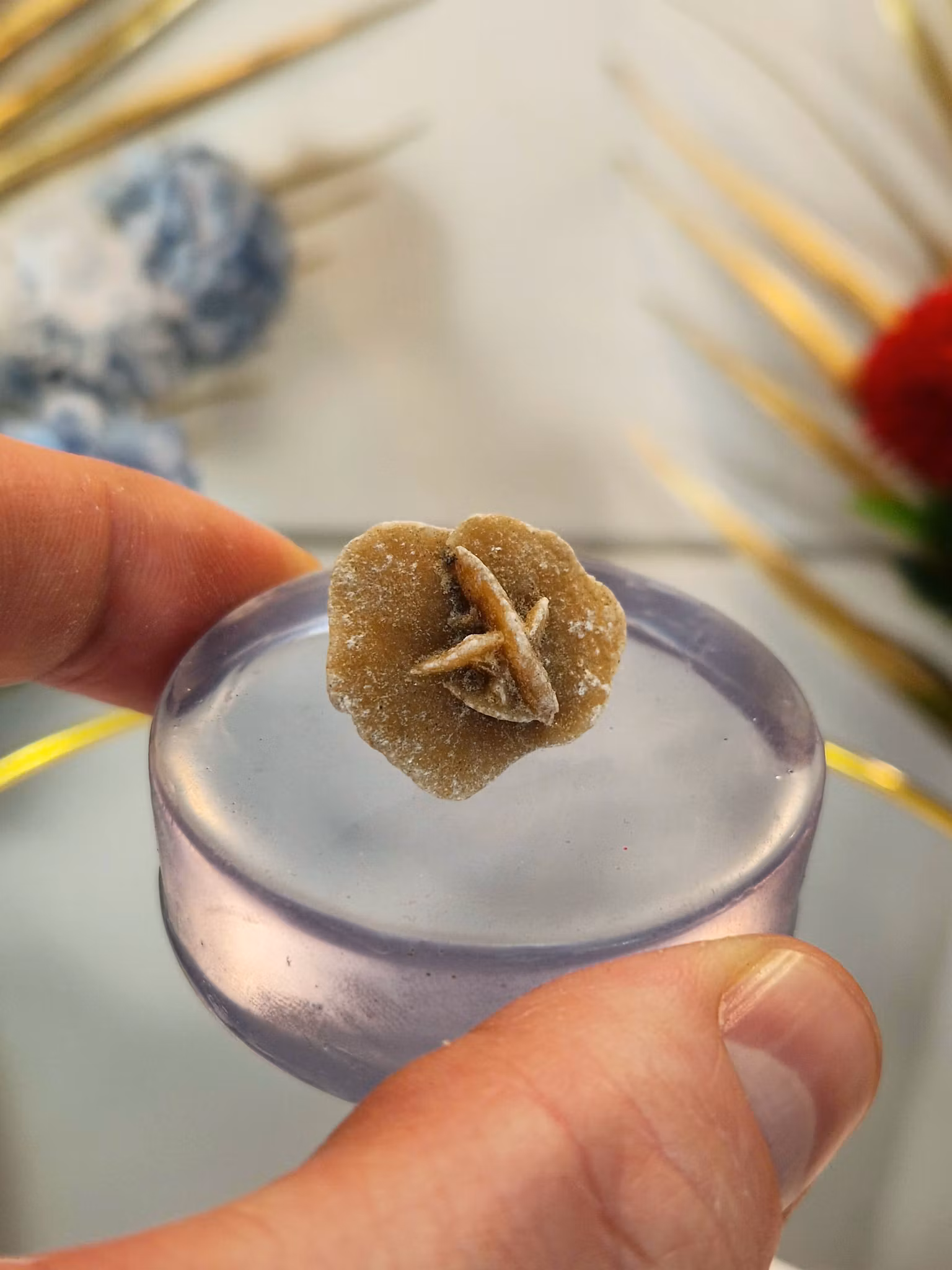 Ökenros specimen med naturlig kristallformation och synliga blad