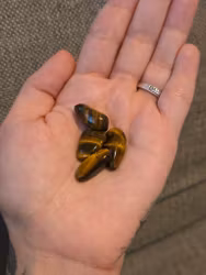 Tigeröga Trumlad 1 - 2  cm