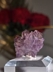 Ametist Blomma Från Gruvan Karur