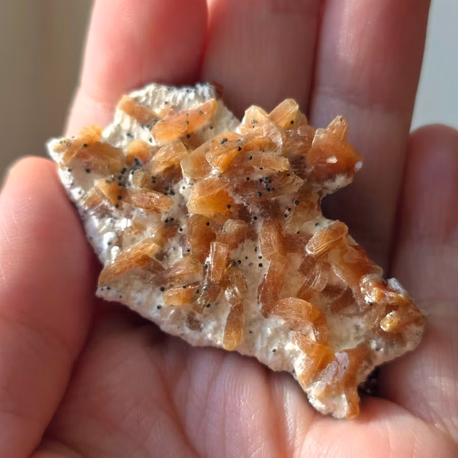 Orange Heulandit På Mordenit Med Svarta Mikrosfärer