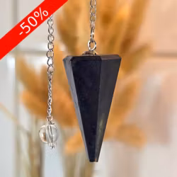 Polerad Pendel Shungit nr 2