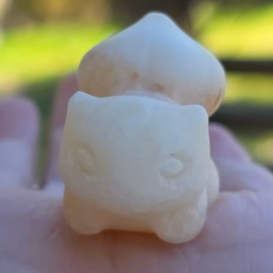 Bulbasaur Pokémon Orange Kalcit