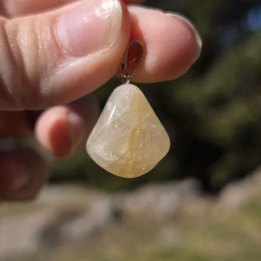 Hänge Med Ev Golden Healer