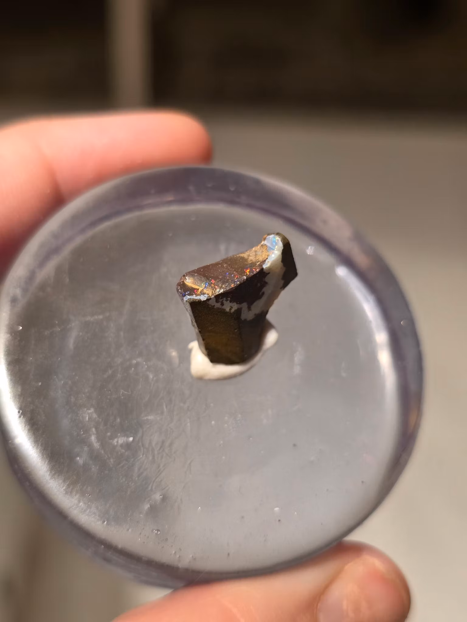 Rå Boulder Opal från Koroit 5,77 ct