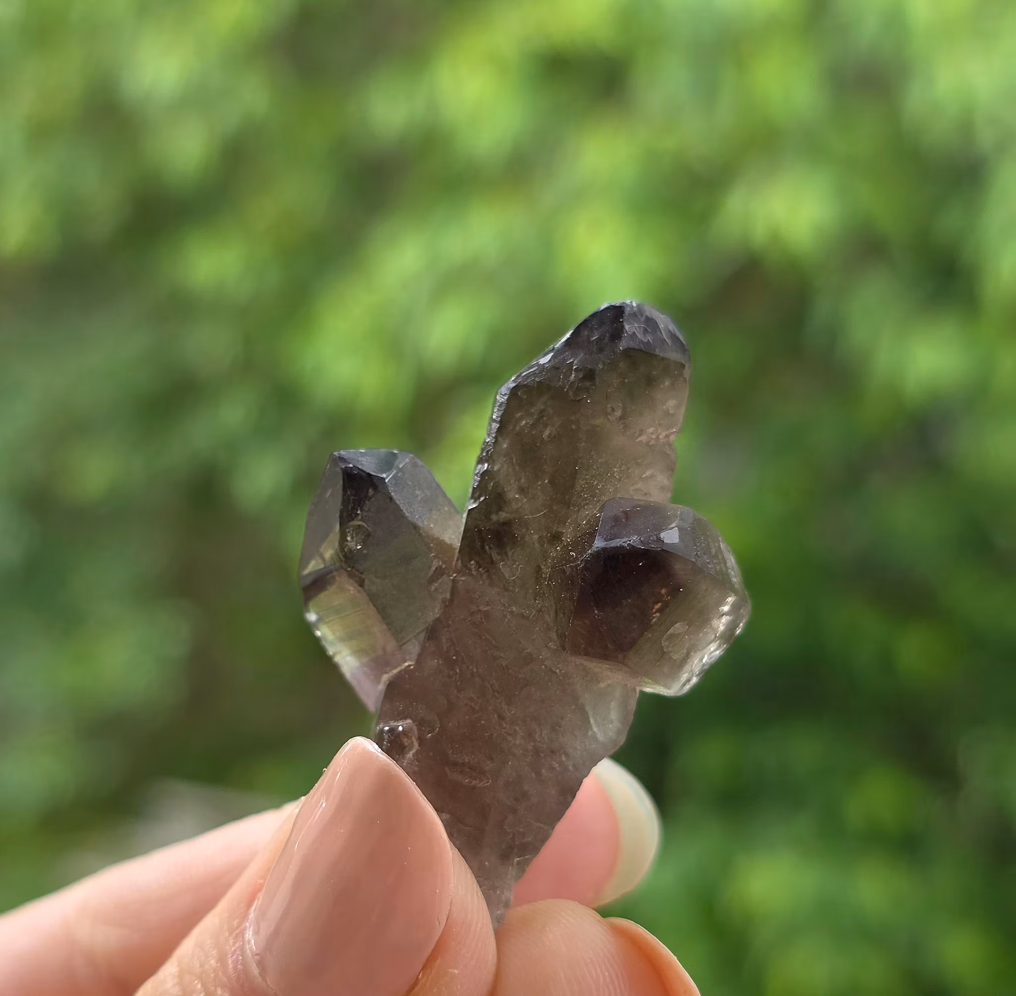 Rökkvarts Kluster 12,8 gram