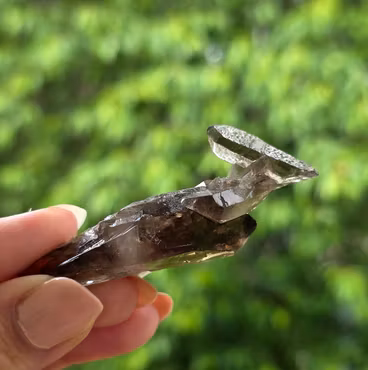 Rökkvarts Morion Kluster 19,6 gram