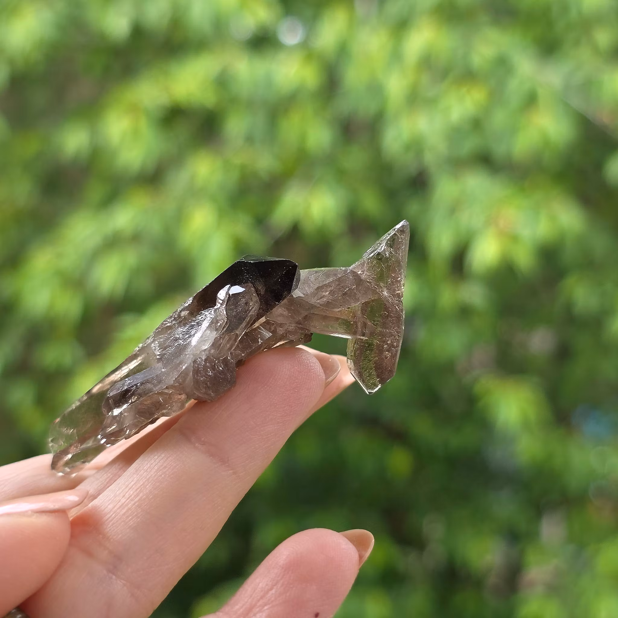Rökkvarts Morion Kluster 19,6 gram