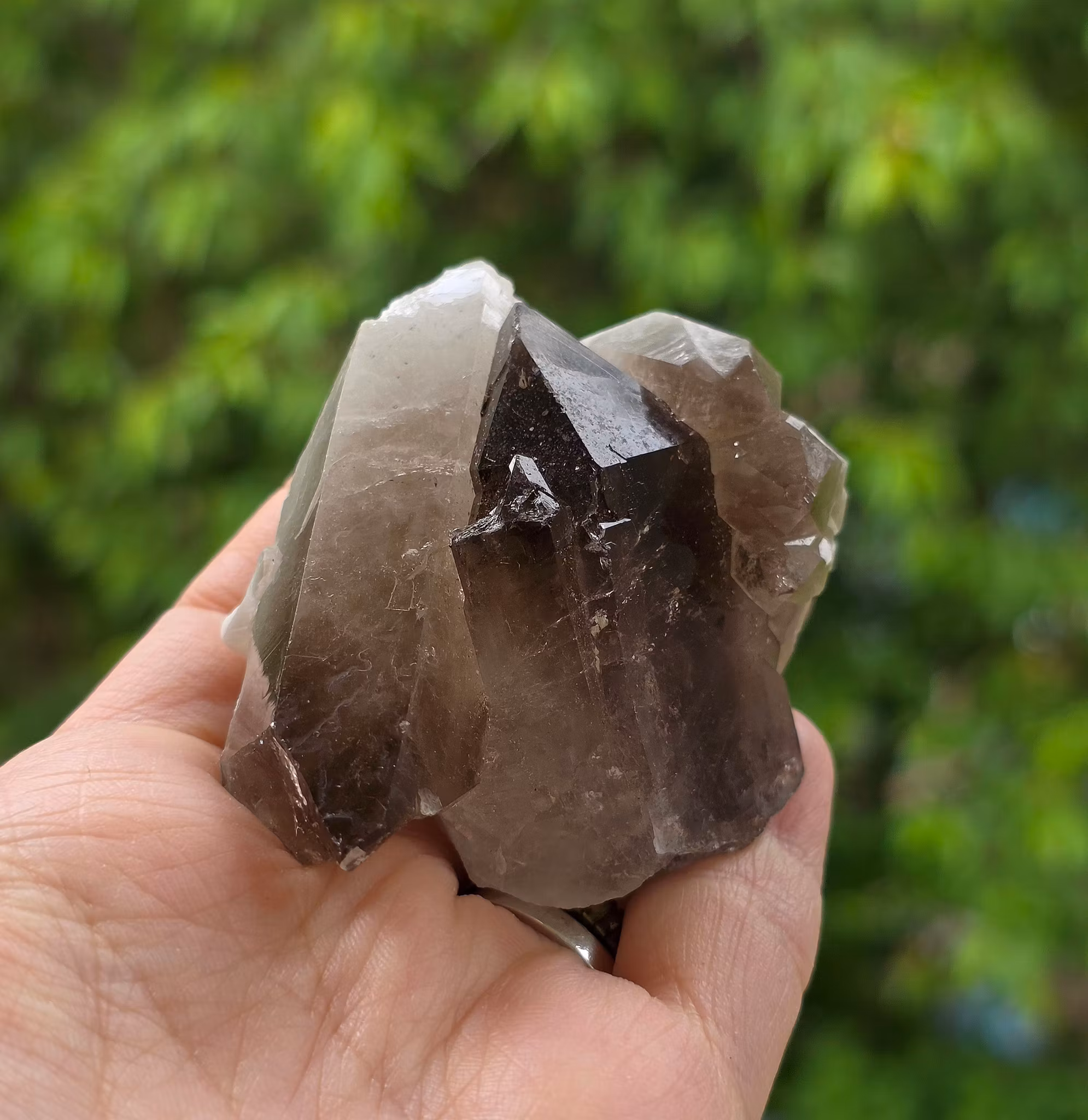 Rökkvarts Kluster Morion 100 gram