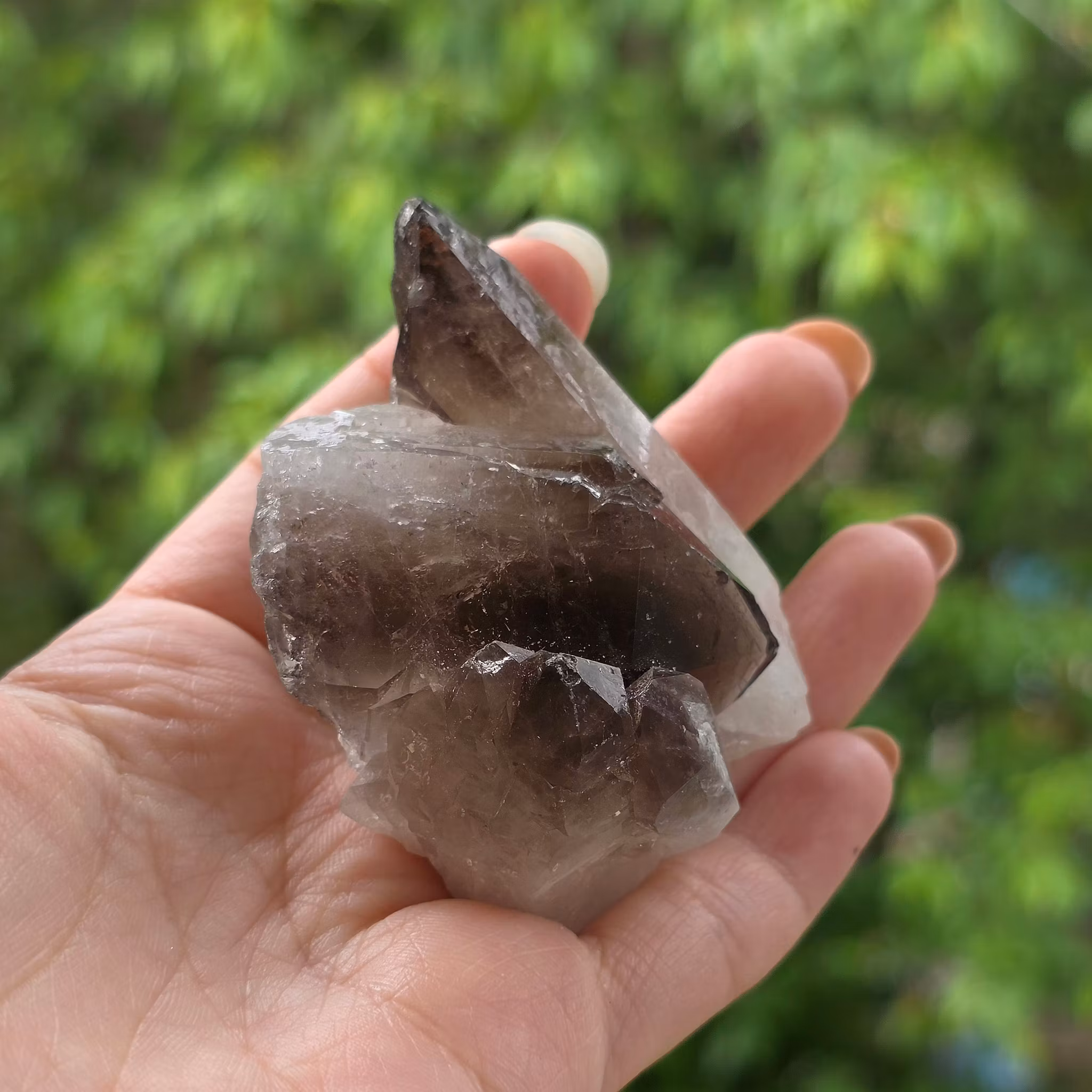 Rökkvarts Kluster Morion 100 gram