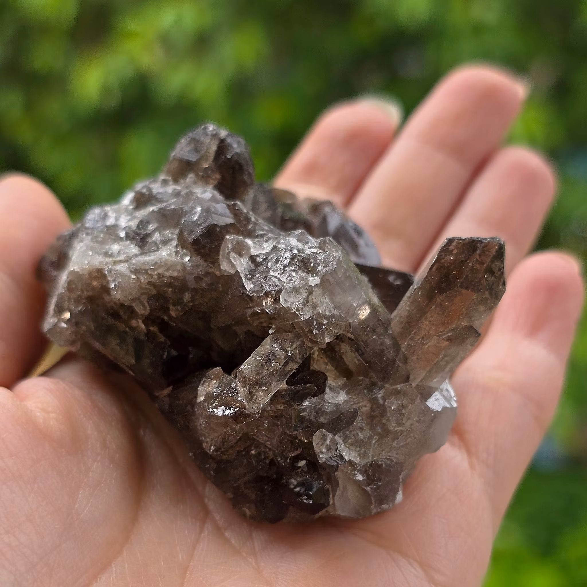 Rökkvarts Kluster Morion 90 gram
