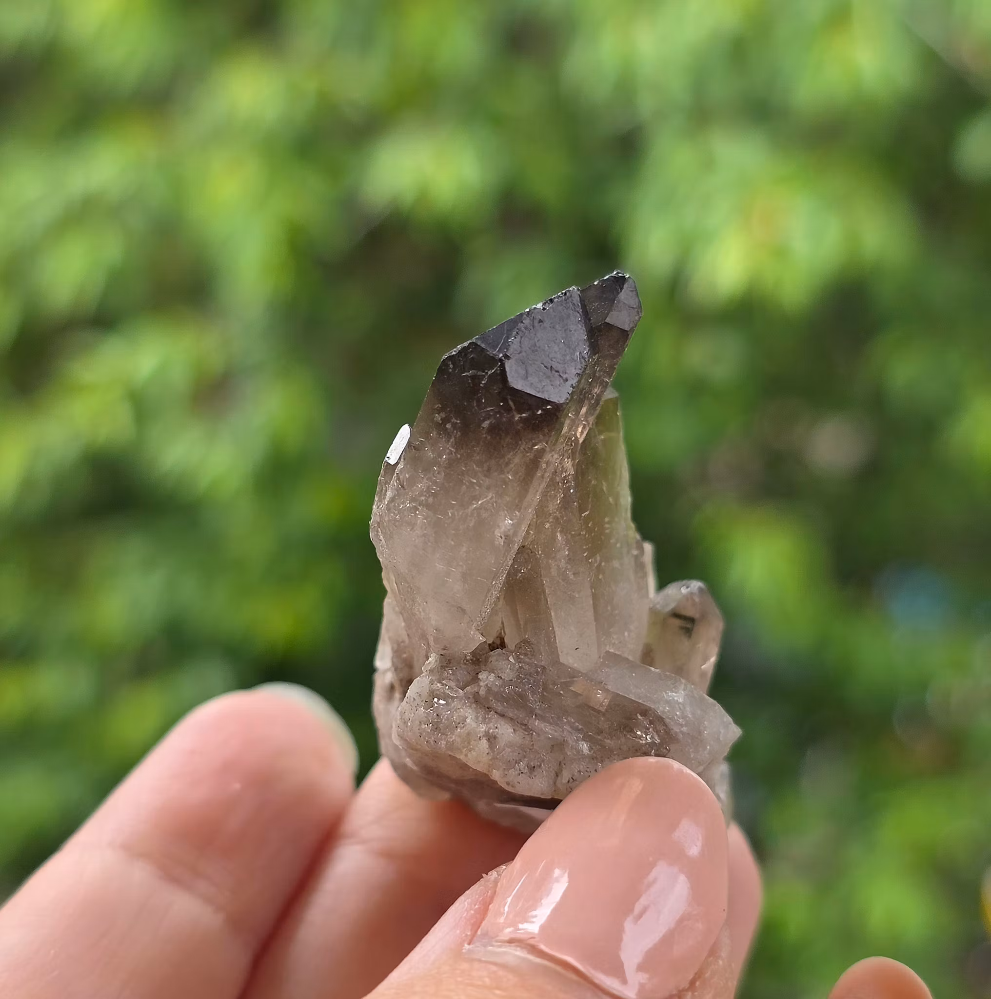 Rökkvarts Kluster 26,9 gram