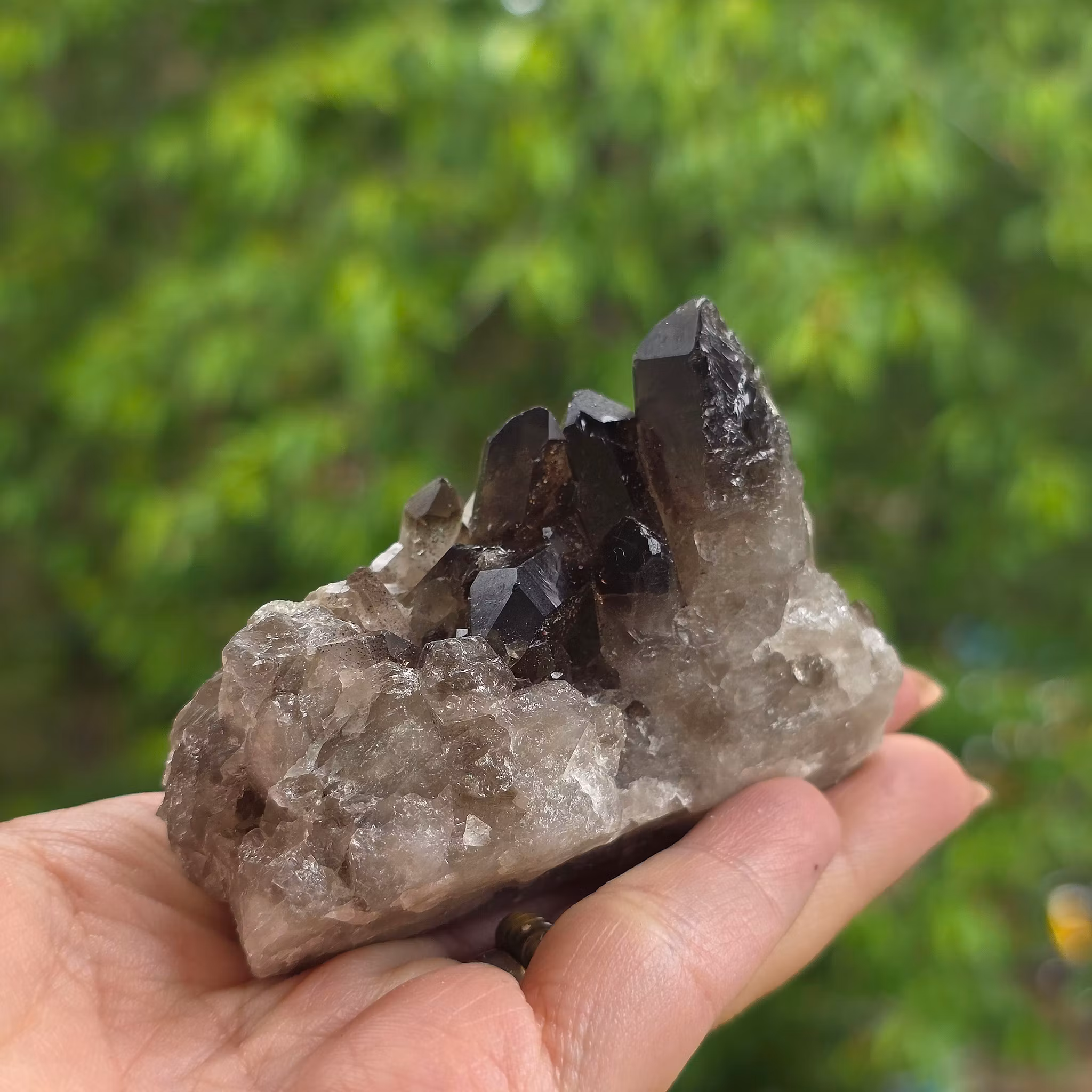 Rökkvarts Morion Kluster 111 gram
