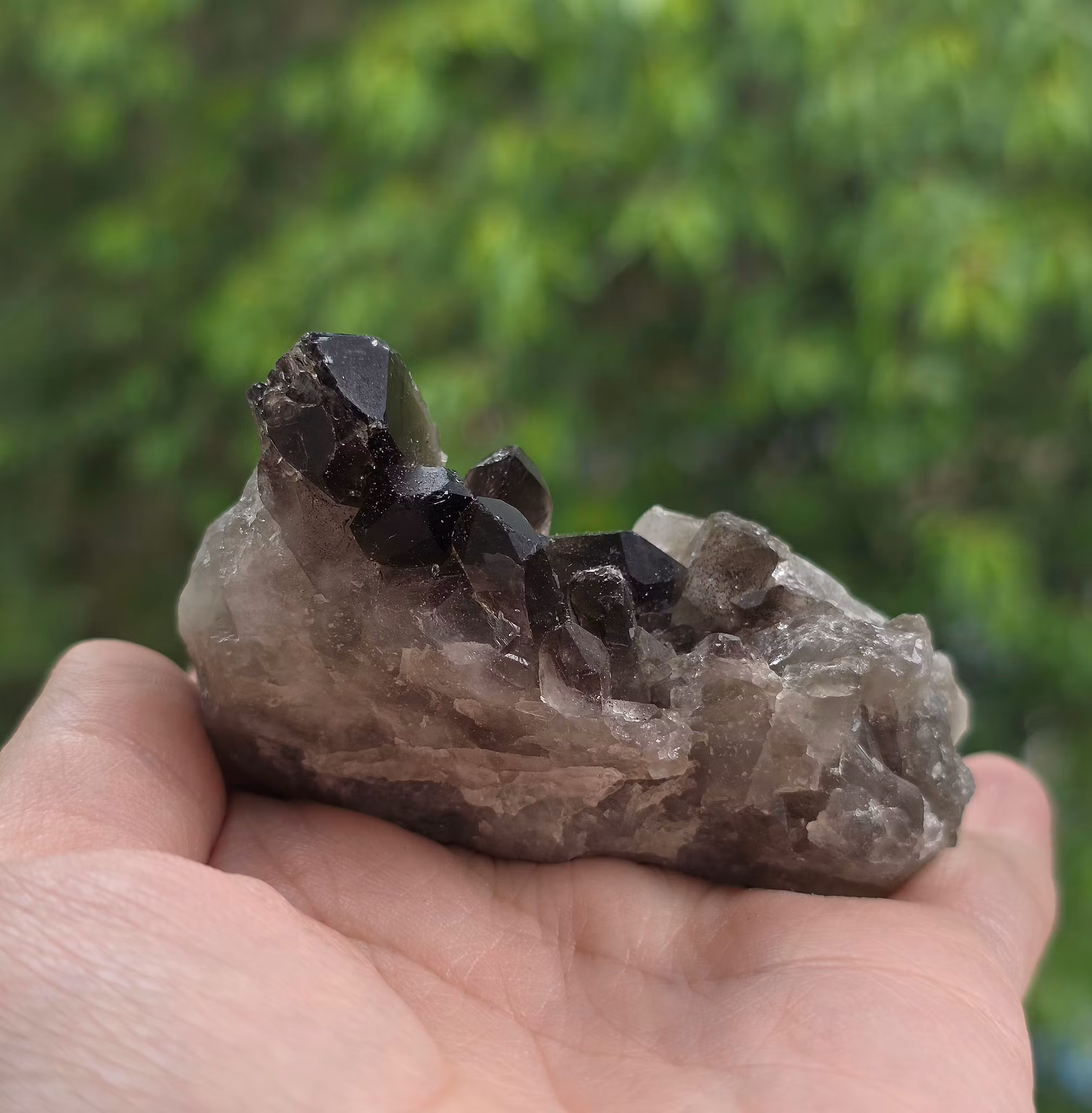 Rökkvarts Morion Kluster 111 gram
