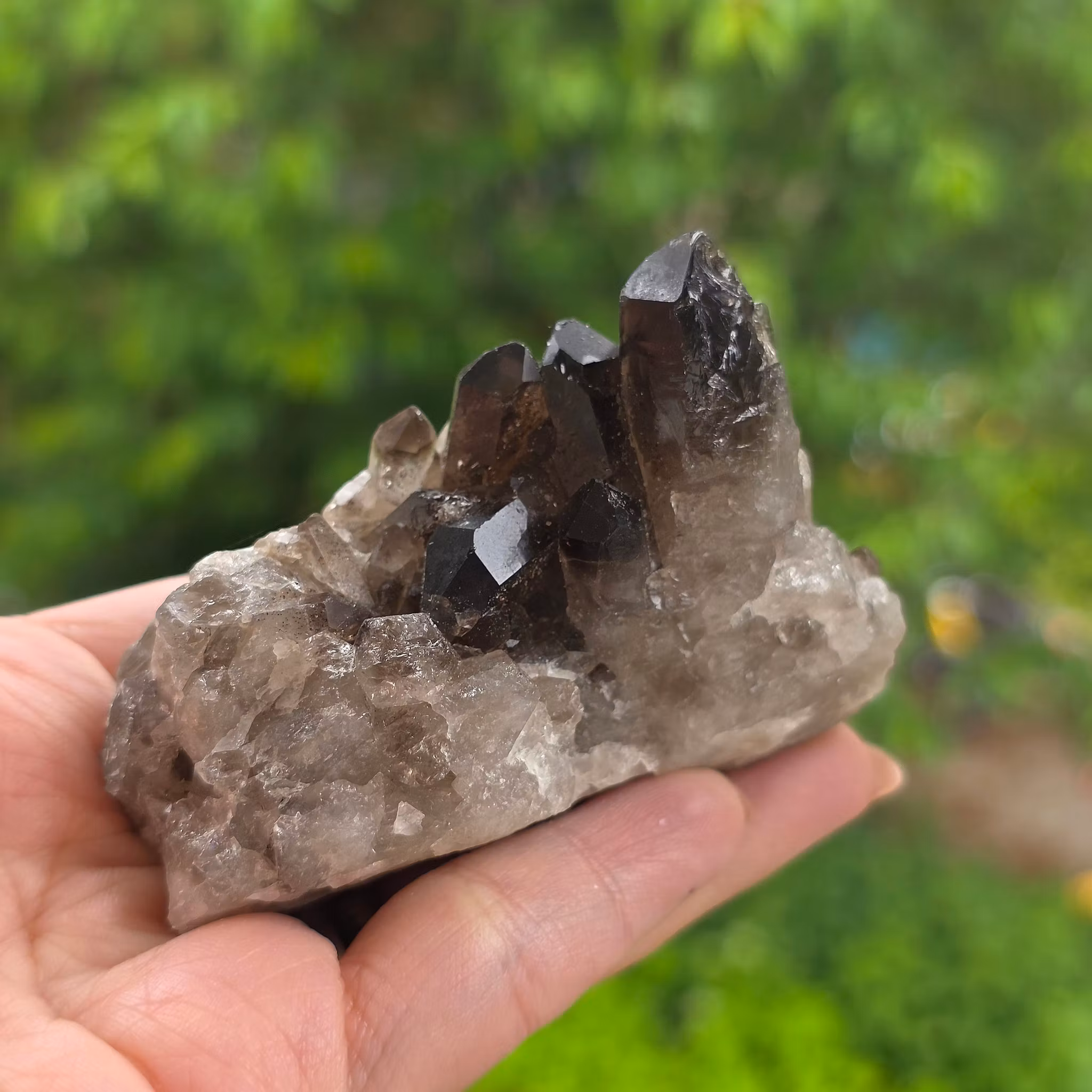 Rökkvarts Morion Kluster 111 gram