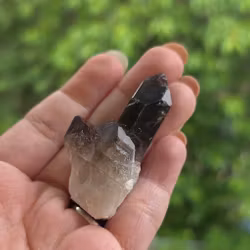 Rökkvarts Morion Kluster 20,6 gram