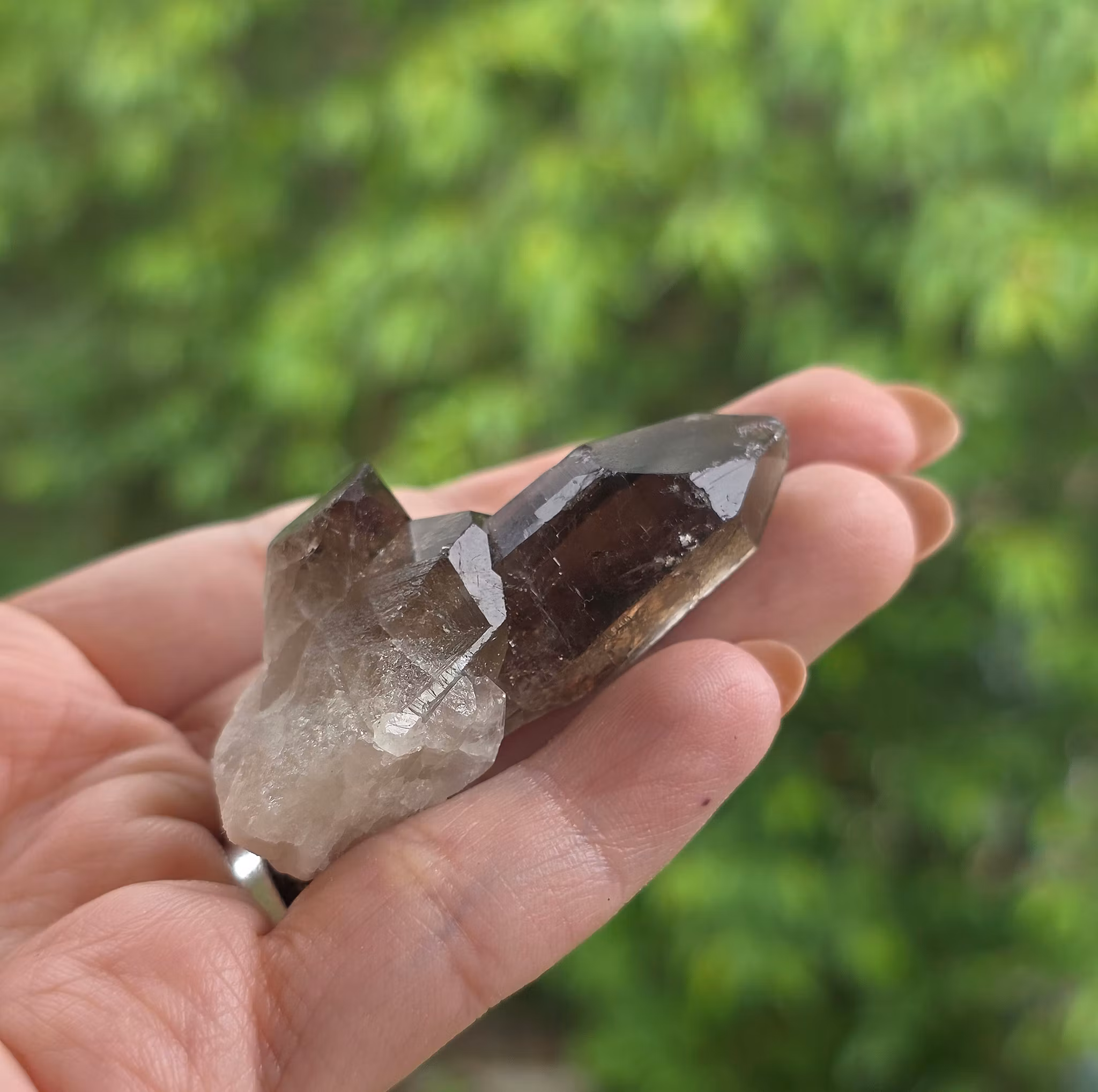 Rökkvarts Morion Kluster 20,6 gram