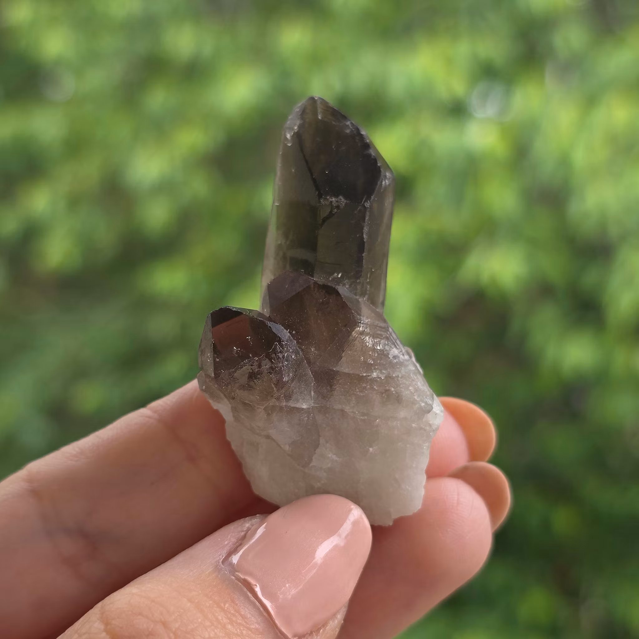 Rökkvarts Morion Kluster 20,6 gram