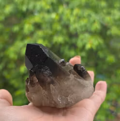 Rökkvarts Morion Kluster 204 gram