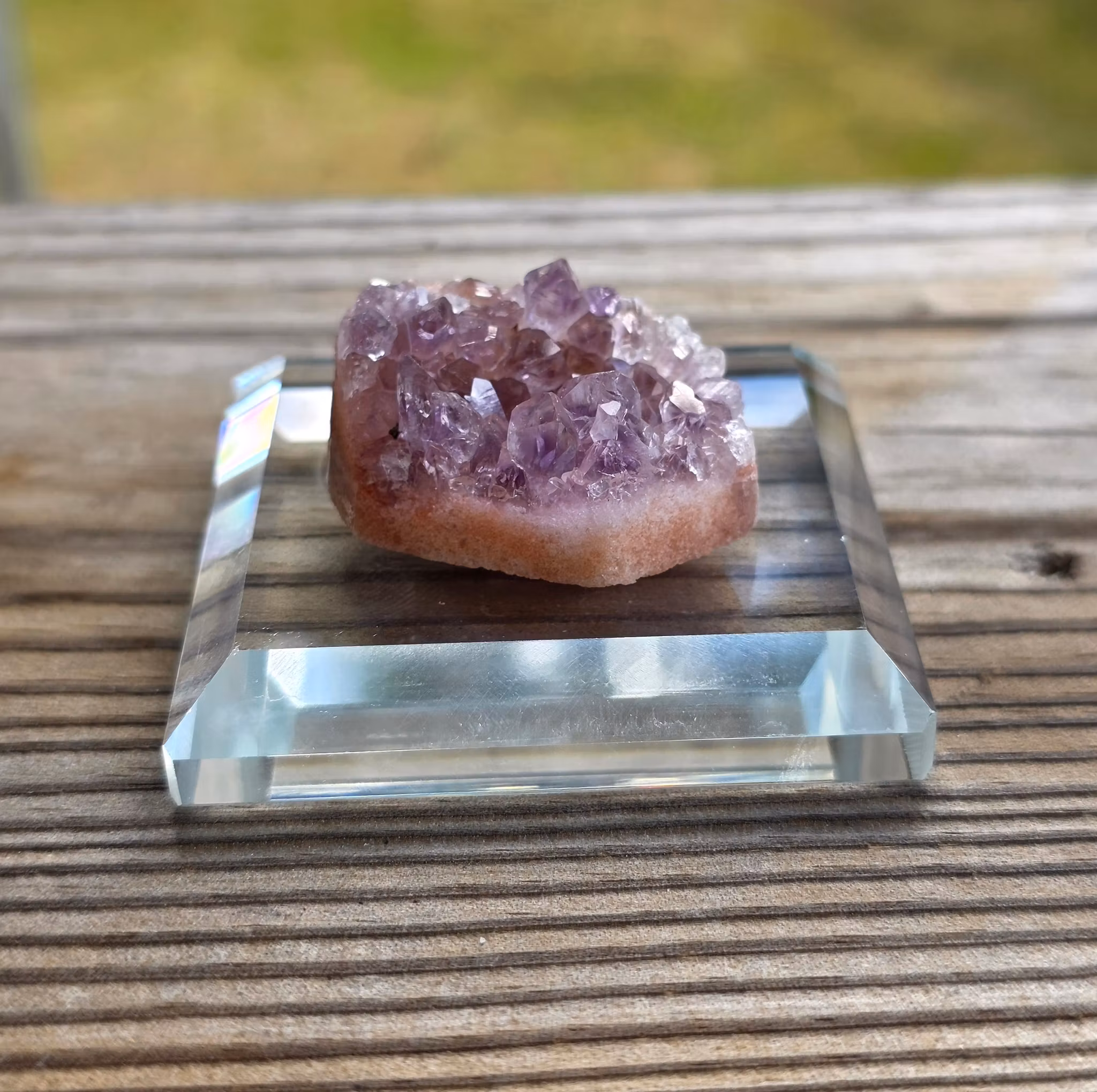 Display I Glas För Samlarexemplar