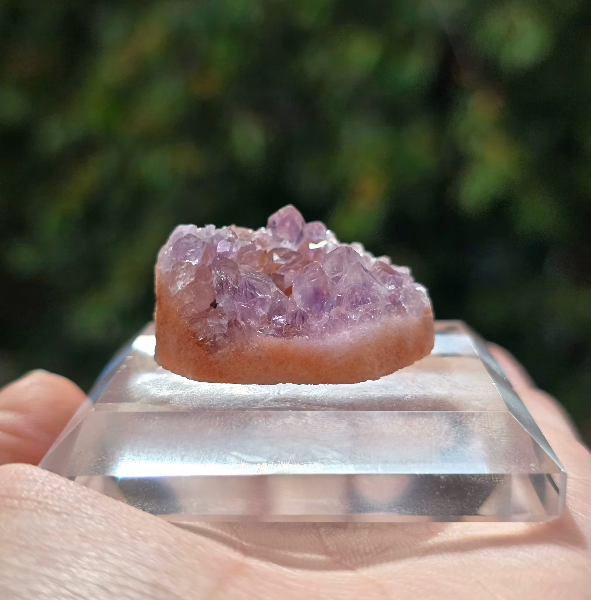 Rosa Ametist Mini Druzy Bit