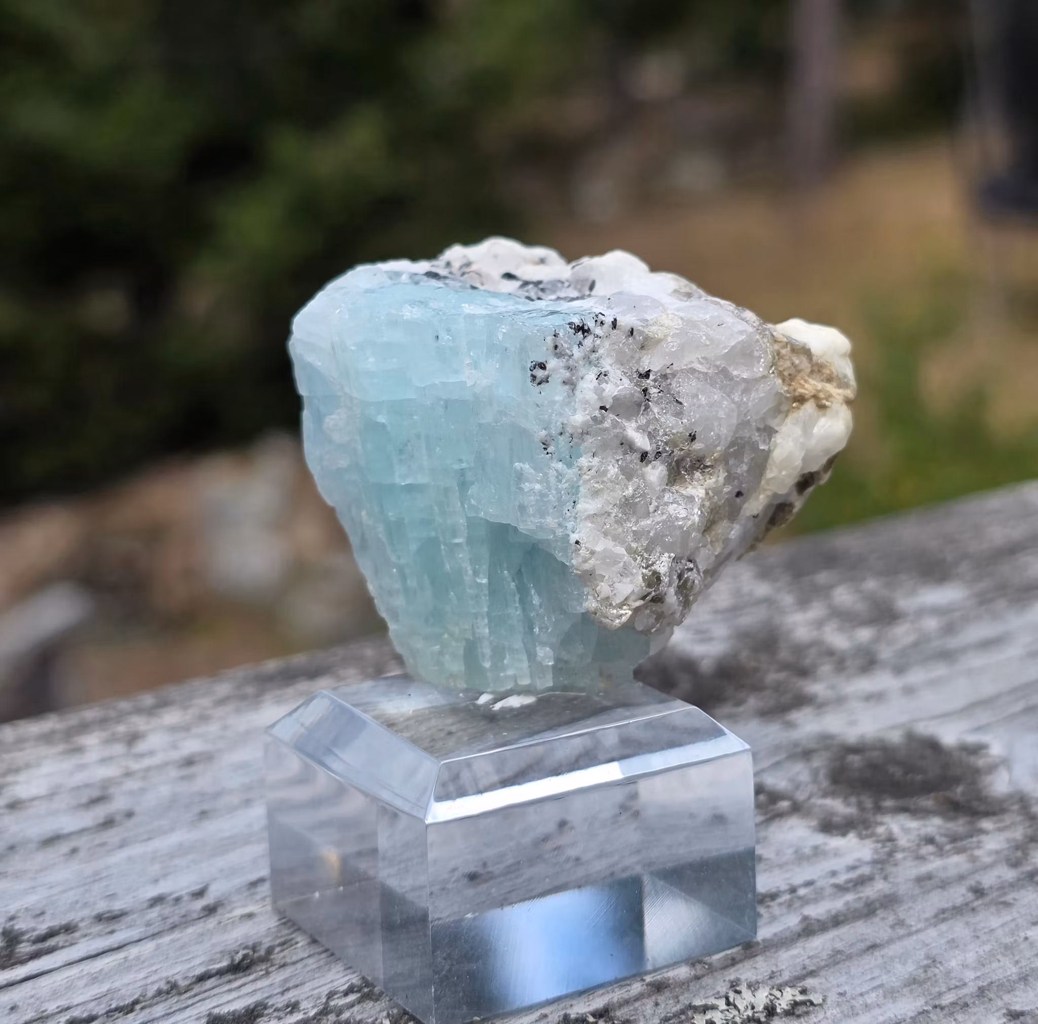 Rå Akvamarin Med Mica, Turmalin & Albit, Skardu Pakistan 301 ct